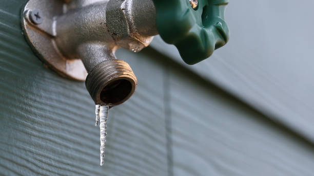 Best Commercial Plumbing Services  in Waller, TX